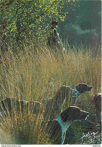 Carte postale animaux - postale,