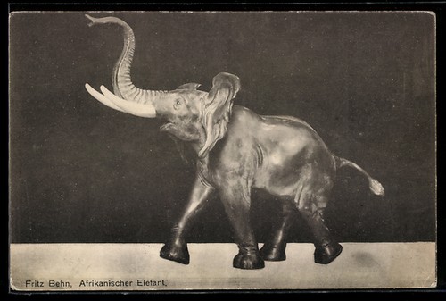 Carte postale éléphant