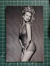 ZP851 beau retirage photo 15x10cm sexy Pin up actrice Estelle Lefebure