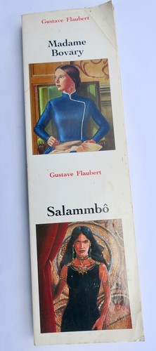 Flaubert madame bovary - madame,