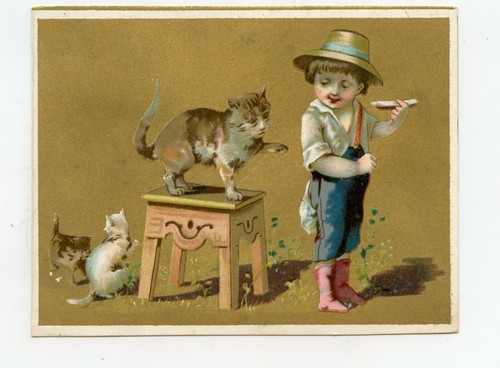Chromo chats - ., cm)