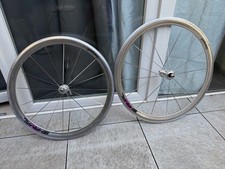 Campagnolo shamal pista - campagnolo,