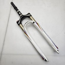 Fourche Specialized Brain S90