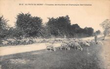 CPA 18 AU PAYS DU BERRY / TROUPEAU DE MOUTONS EN CHAMPAGNE BERRICHONNE