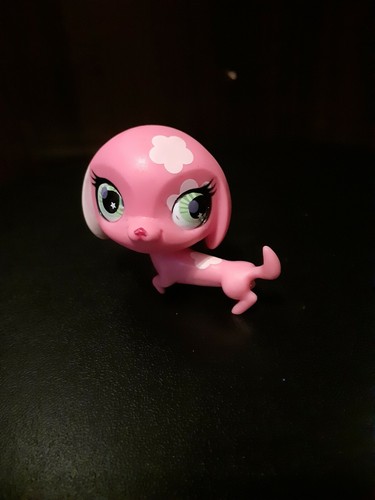 Hasbro lps petshop - petshop, /