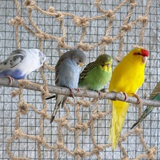  Corde Escalade Filet Hamac Décureuil Grand D'escalade Perroquet Jouets