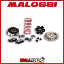 5113161 VARIATEUR MALOSSI MHR