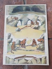 Carton Découpage Découpis Publicitaire "LA BELLE JARDINIERE" Au Zoo LES SINGES