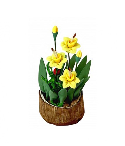 Maison poupées jonquilles - maison,