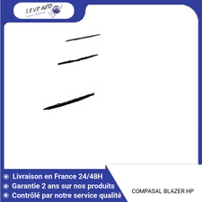 🇫🇷 Pneu COMPASAL BLAZER