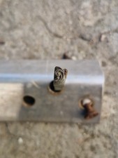 Ancien Fer A Dorer En Bronze Époque XIX Ème S 