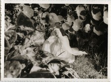 PHOTO ANCIENNE - VINTAGE