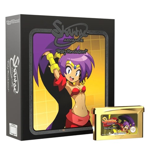Shantae advance risky - shantae,
