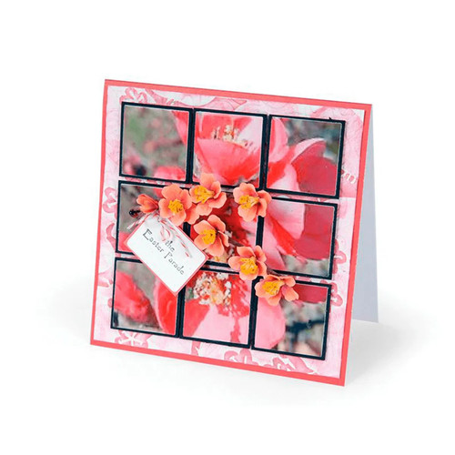 Fustelles big shot - shot, sizzix
