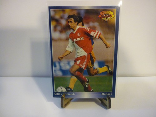 Carte foot panini official - foot,