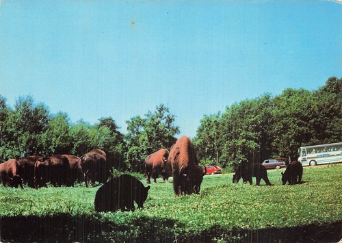 Peaugres safari parc - peaugres,