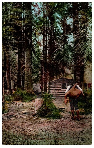 Chasse cerf cabane ca - chasse, la