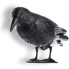 Corbeau Noir en Plastique