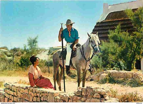 Carte postale animaux - carte,