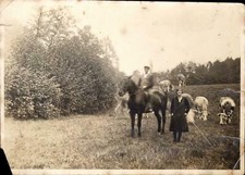 Snapshot photo-hall Genève Suisse homme sur cheval femme baton vaches paturage