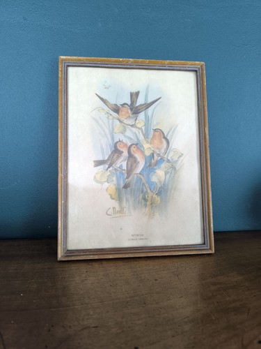 Reproduction aquarelles - reproduction,
