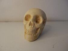 Crane (tête de mort) en plâtre – presse papier