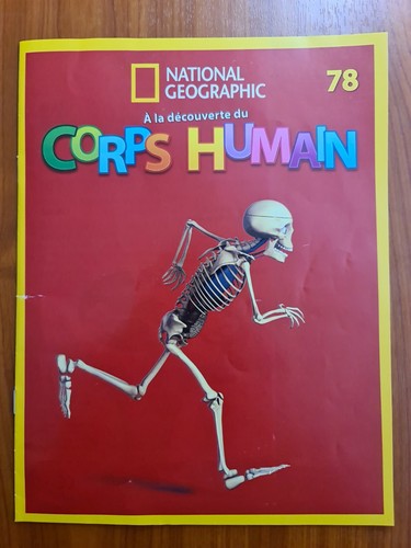 Découverte du corps - a,