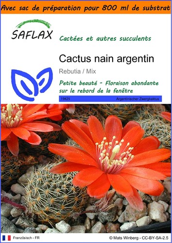 Saflax jardin dans sac - dans,