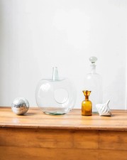 Alix, le terrarium en verre