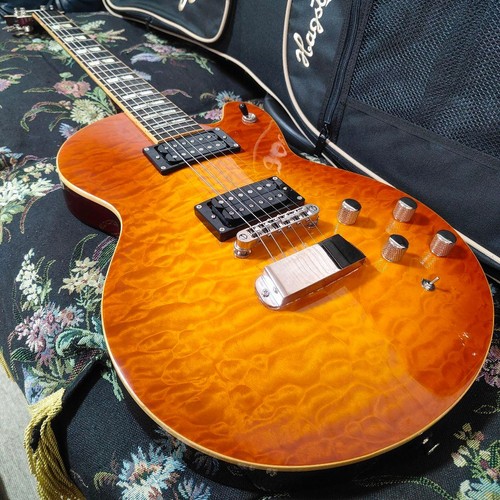 Hagstrom super swead gig bag - super,