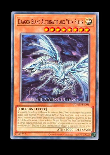 Carte sdwd fr005 - carte, yu-gi-oh