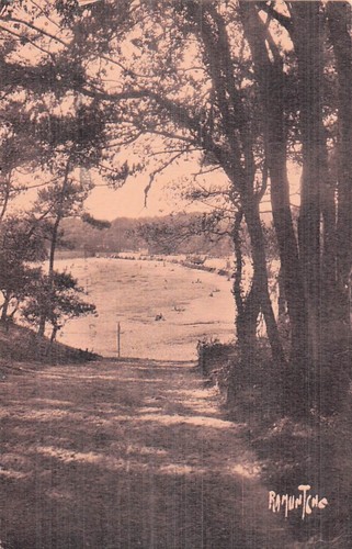Nauzan saint palais bois - saint,