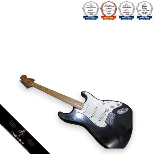 Fender stratocaster ash body - fender,