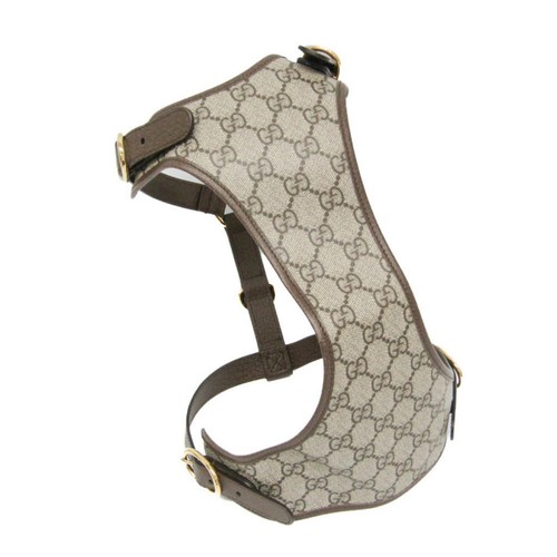 Harnais pour chien - , gucci