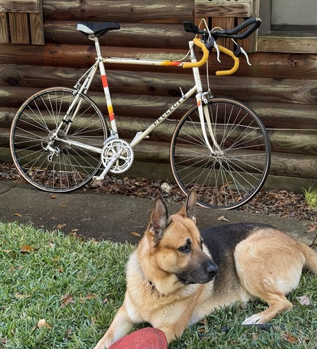 Vintage 1980s peugeot - vintage,