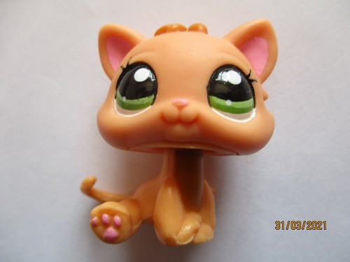 Petshop chaton 2020 - petshop, n°2020