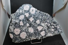 Diorite orbiculaire rose - orbiculaire,