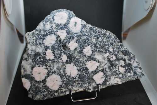 Diorite orbiculaire rose - diorite,