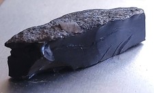 Jais ou Jet Pierre Fine Charbon végétal Fossile de l'albien 14 Gr