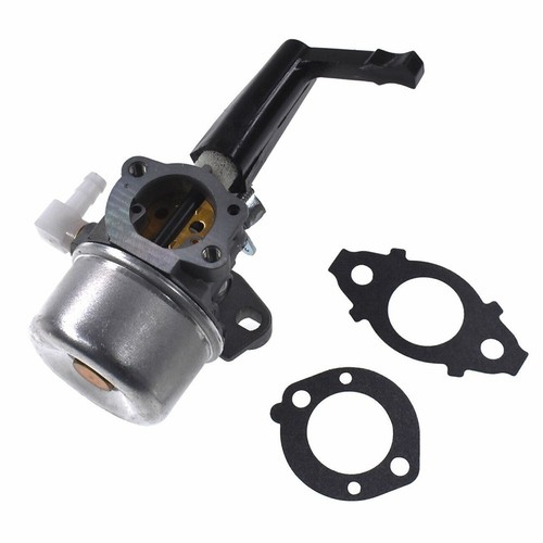 Carburateur motoculteur - de,