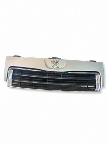 Peugeot expert 2012 grille - expert,