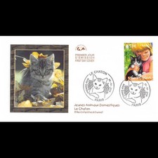 CEF - Jeunes animaux