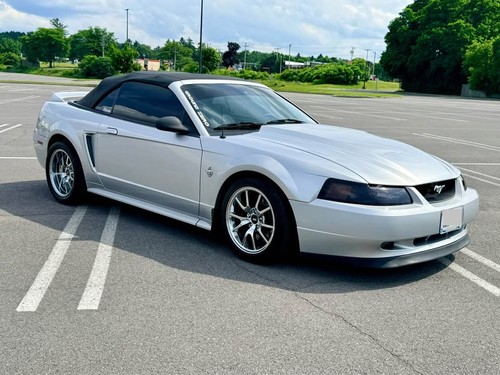 1999 ford mustang - 1999,