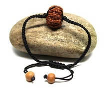 7 Mukhi Rudraksha Bracelet 7