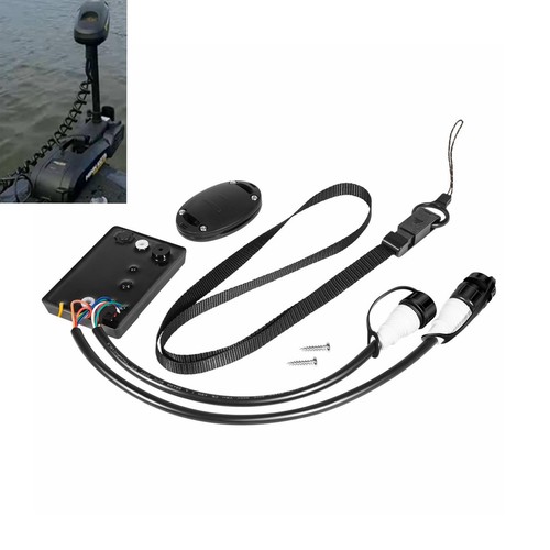 Pilot system remote - co-pilot, control