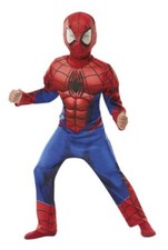 Costume Spider-Man Avec