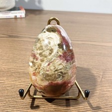 œuf poli en septaria roche