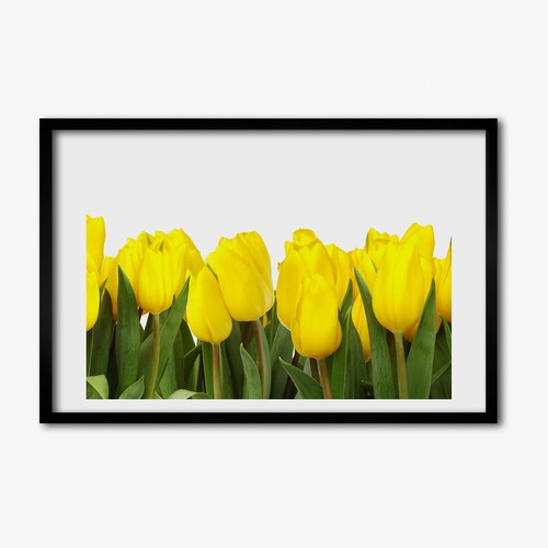 Tulup photo 60x40cm - photo,