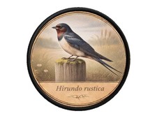 Patch ecusson imprime bord