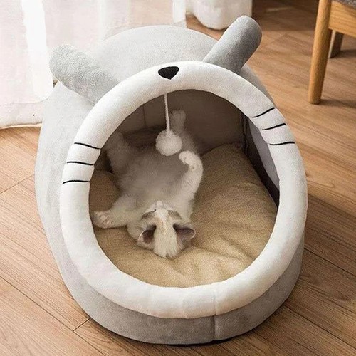 Tente pliable pour - , animaux